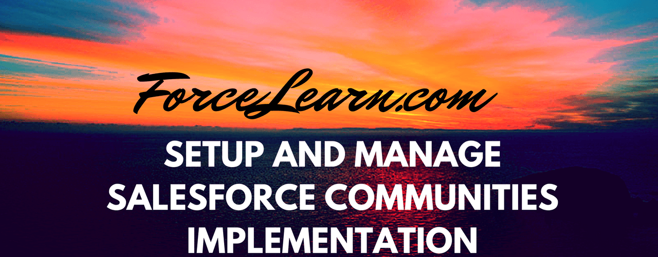 Setup Salesforce Communities Implementation